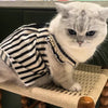 Vestido de algodón a rayas para perros de razas pequeñas