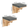 Wall-Mounted Cat Climbing Shelf Set with Hammock and Scratching Posts