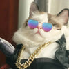 Non-Slip Pet Sunglasses for Cats & Small Dogs