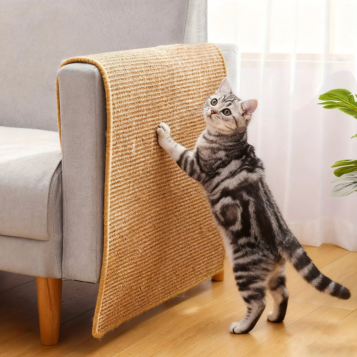 A tabby cat is playing with a natural sisal scratching mat placed on a gray upholstered chair.