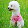 A white fluffy dog wearing a pink polo shirt in a green grassy field.
