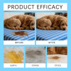 Pet Stain & Odor Remover Spray – Multi-Surface Cleaner for Carpets, Fabric & Furniture
