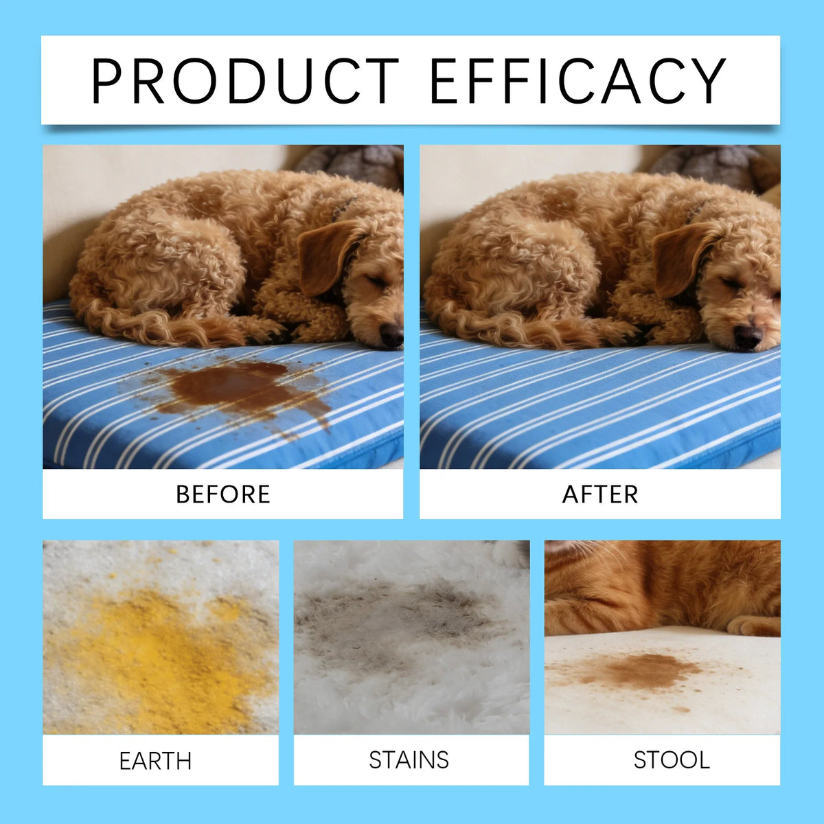 Pet Stain & Odor Remover Spray – Multi-Surface Cleaner for Carpets, Fabric & Furniture