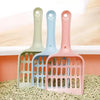 A set of five plastic cat litter scoops in pastel colors, including mint green, light blue, and pink, resting on a bed of lig