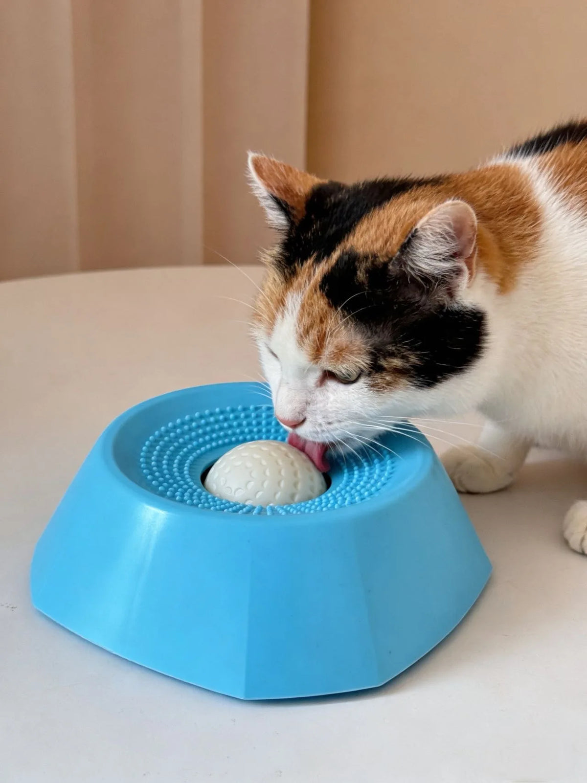 Un gato atigrado interactuando con un cuenco para perro lentificador azul, lamiendo la comida del centro.
