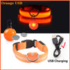 USB Charging Glowing Dog Collar with Pendant