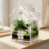 Klares Plastikterrarium mit Pflanze und Moos für eine Springspinne.