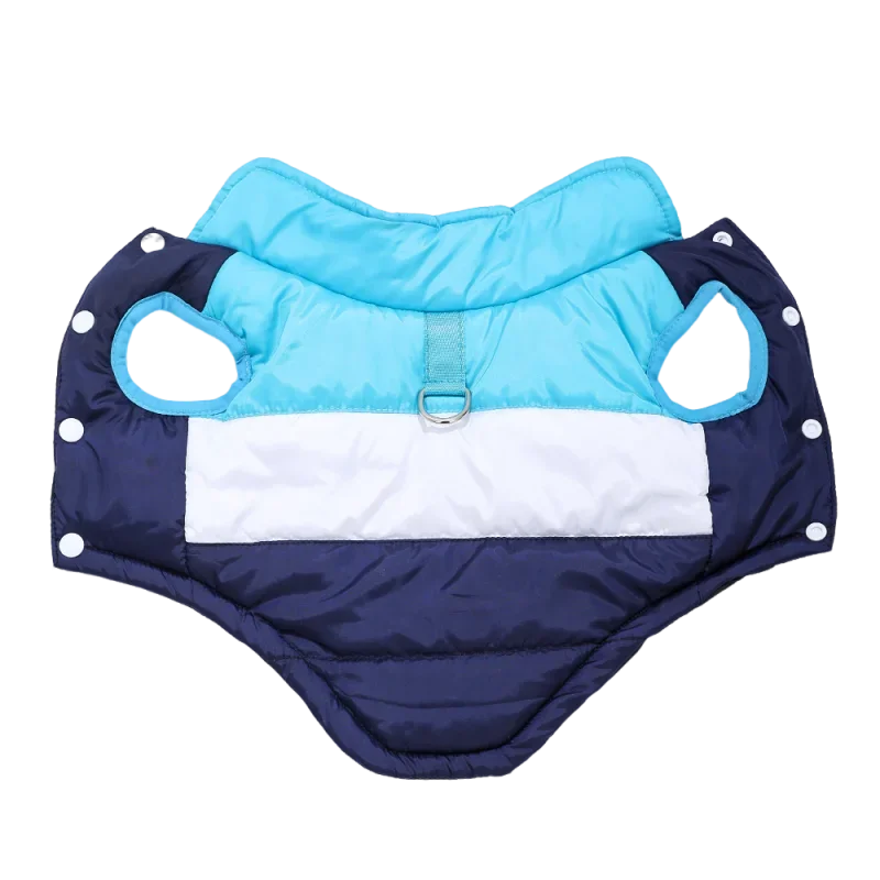 Light blue and navy padded windproof dog vest with a D-ring for small breeds