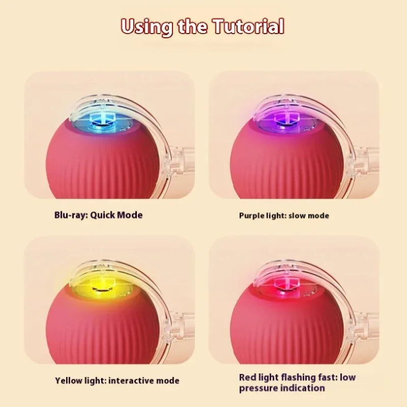 Un jeu de balles interactives pour chats intelligentes, affichant différentes lumières : bleu, violet, jaune et rouge.