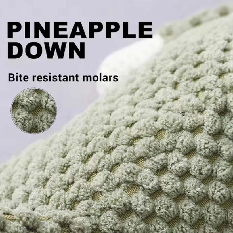 Close-up of a light green textured chew toy designed for bite resistant molars.