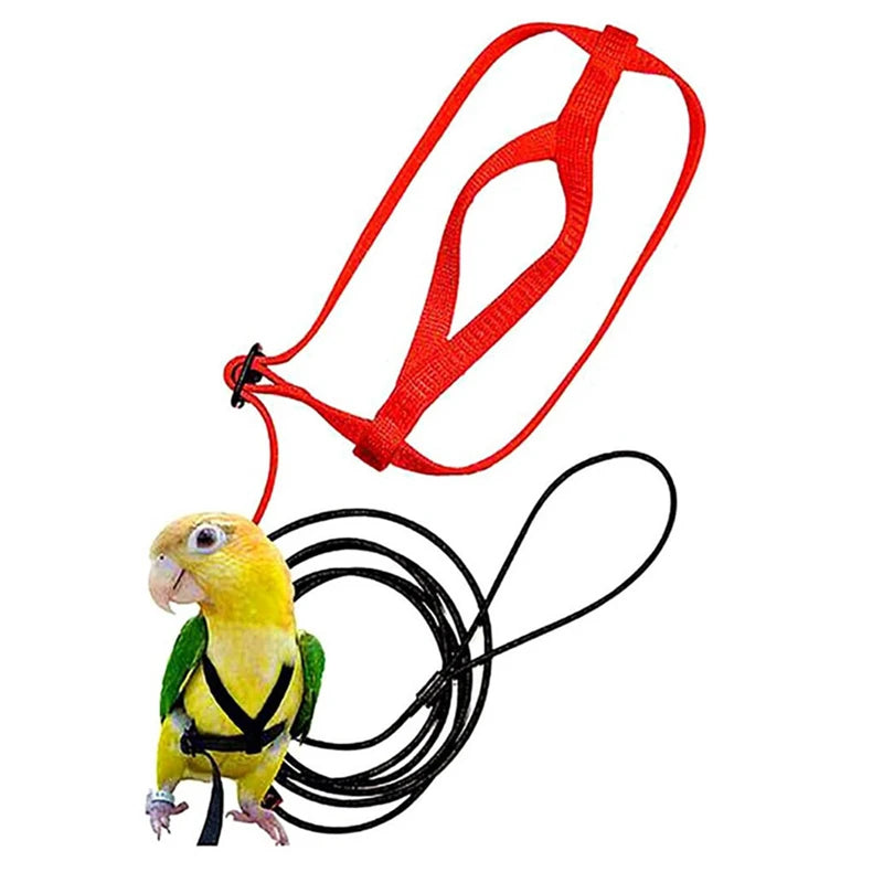 Nylon Bird Training Rope Harness Leash - Anti-Bite Parrot