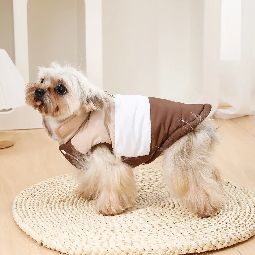 A small, fluffy dog wearing a brown and white padded windproof vest with a D-ring.