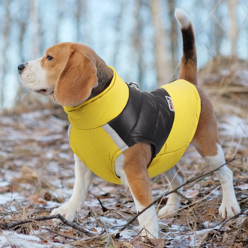 Chaleco impermeable acolchado para perro