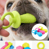 Durable Chew Toy for Small Dogs with Teeth-Cleaning Spikes