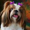 Pet Hair Bows with Rubber Bands - Assorted Styles for Small Dogs and Cats