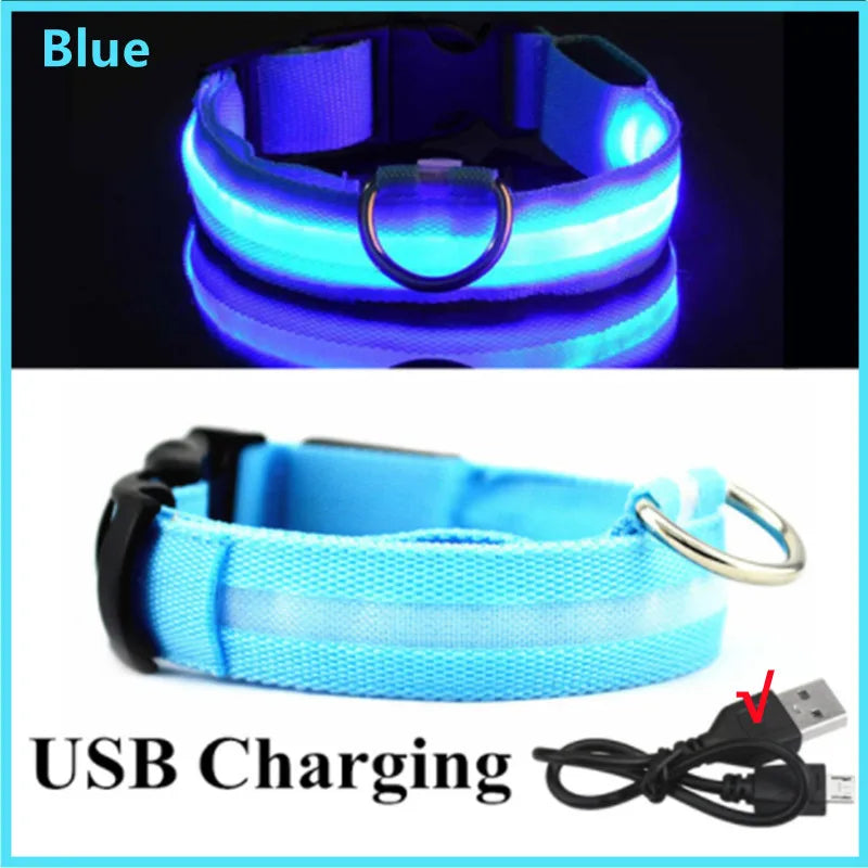 Blue USB rechargeable pet safety light collar shown in two views, including a close-up of the collar and the charging cable.