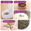 Various ways to use natural catnip including adding it to water, cat food, or sprinkling on a nest and toy.