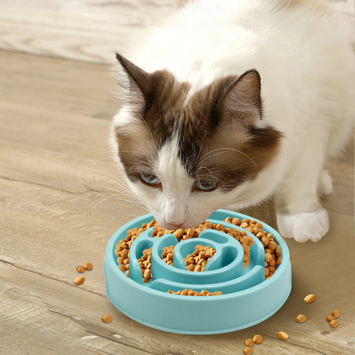 Anti-Gulping Maze Slow Feeder Dog Bowl with Non-Slip Base