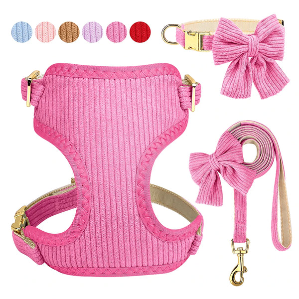 Collier à Nœud Papillon pour Chien, Harnais & Laisse