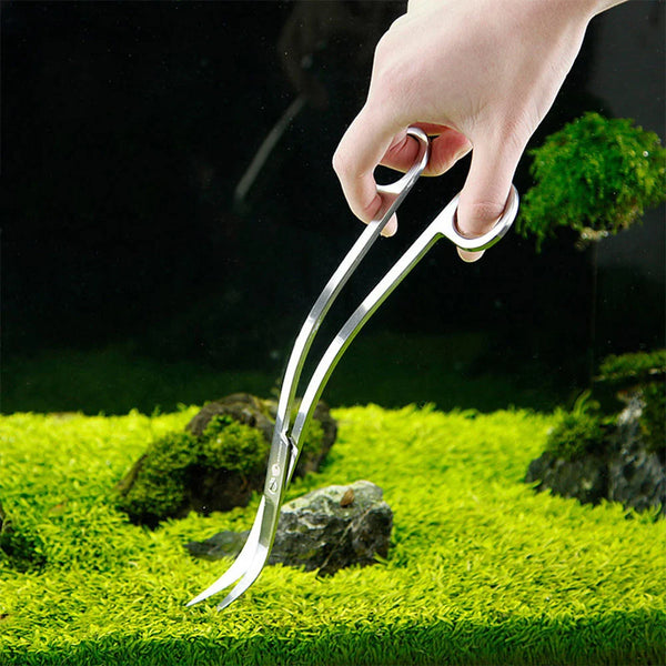 مجموعة أدوات حوض السمك من الفولاذ المقاوم للصدأ: مقصات، كماشات، ومقصات الأمواج