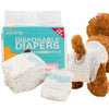 Box of disposable diapers and several reusable sanitary diapers for dogs next to a brown stuffed animal.