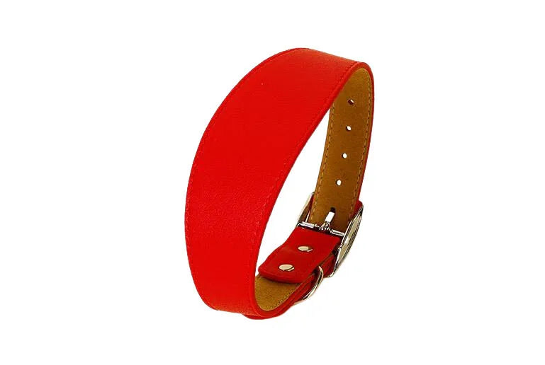 Wide Leather Dog Collar for Long-Necked Breeds