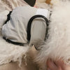 Washable Dog Diapers - Reusable Sanitary Panties for Female Dogs