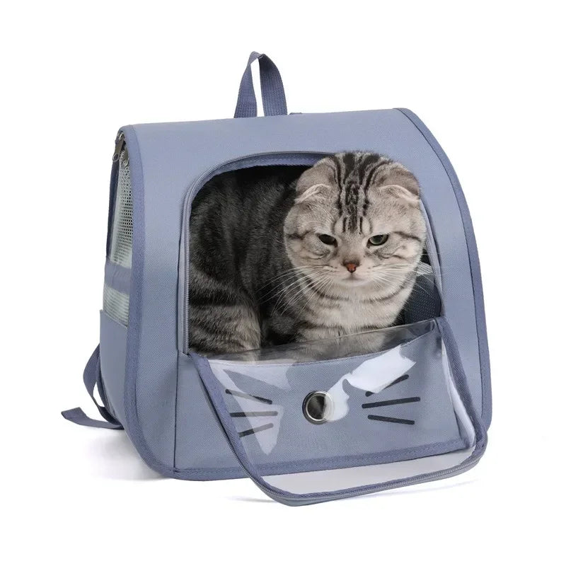 A light blue breathable pet carrier backpack with an open window showing a tabby cat inside.