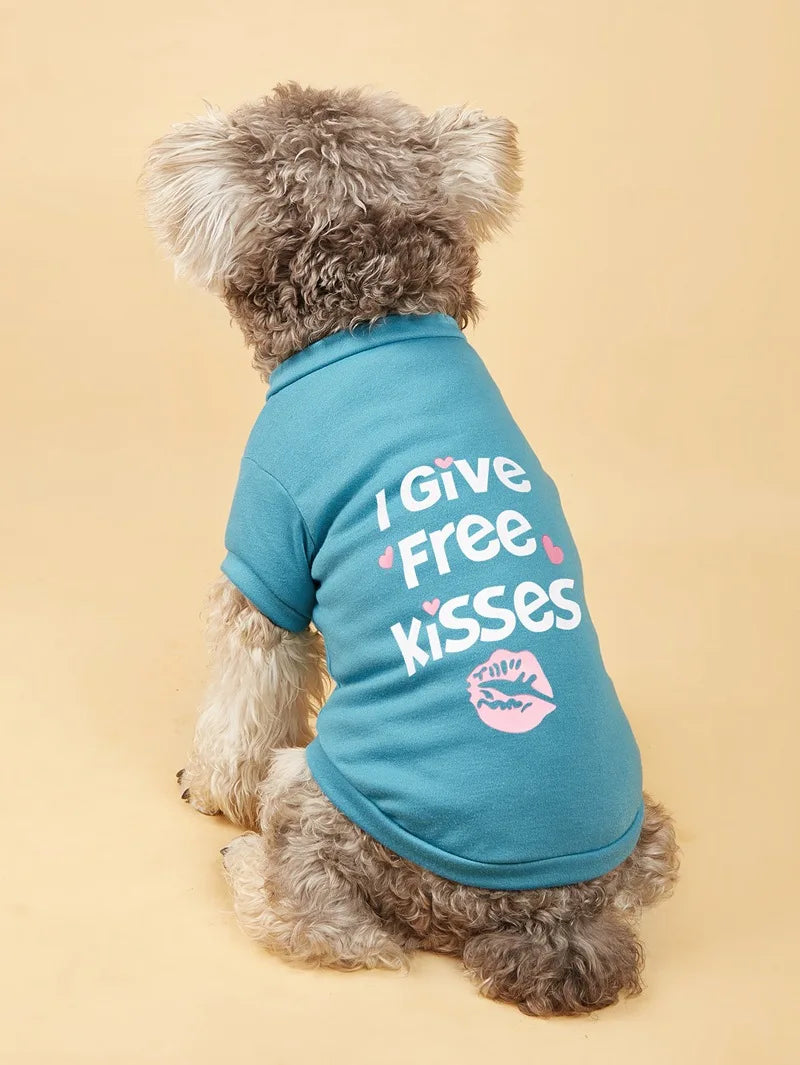 A fluffy dog wearing a teal vest with the text I Give Free Kisses printed on it.