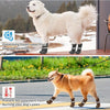 Anti-slip pet paw protection socks shown preventing frozen paws from pavement and hot pavement from dog's paws.