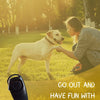 Zwei-in-Eins-Hundepfeife und Clicker für das Hundetraining