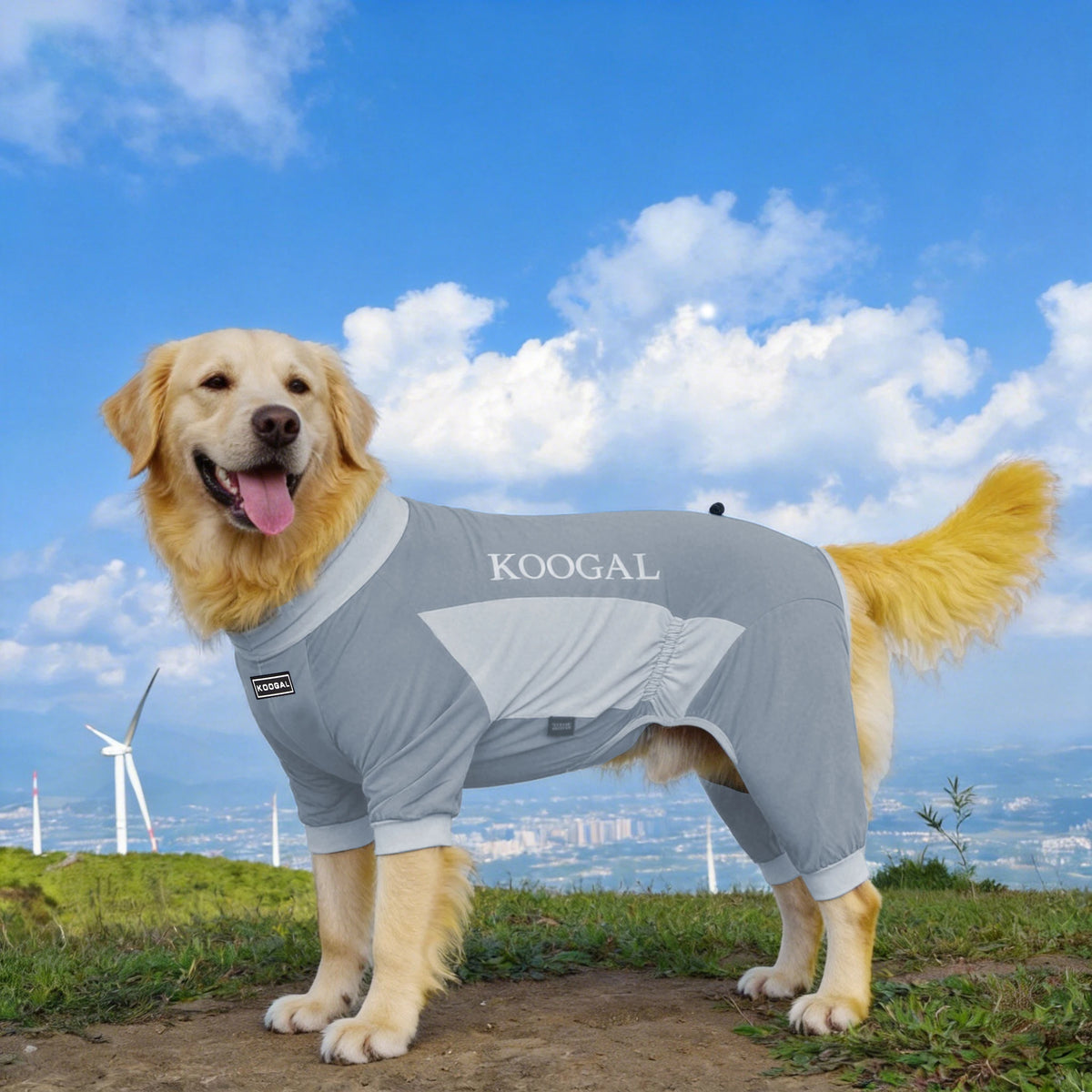 Pet Cooling Full-Body Suit for Summer Heat Relief