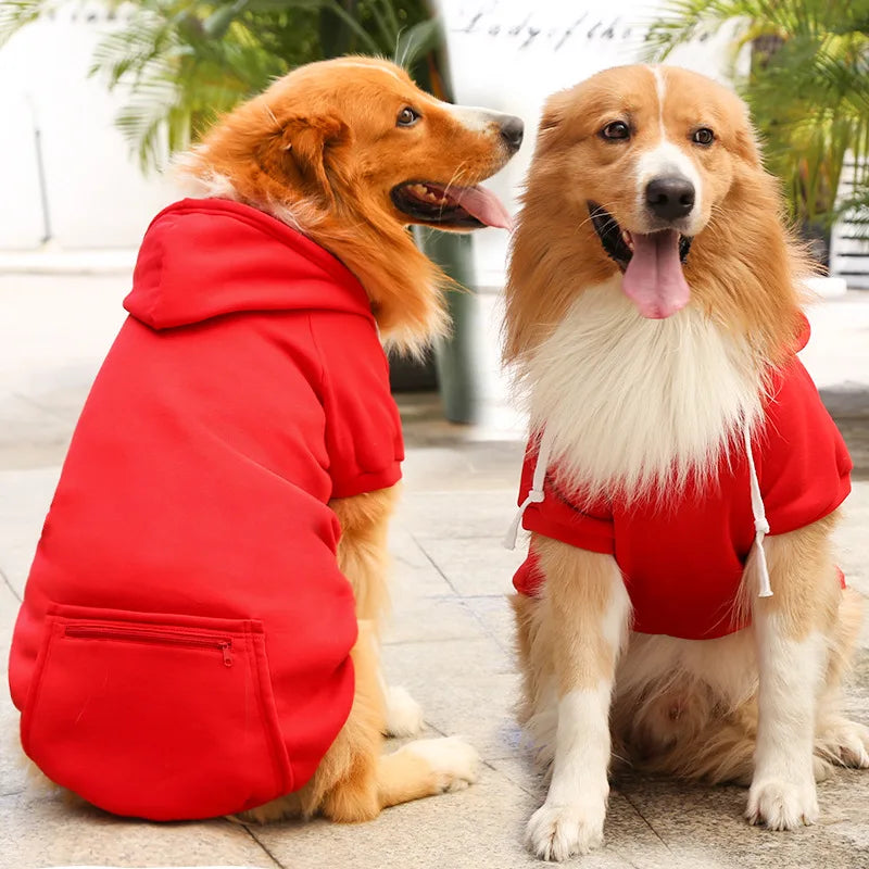 A golden retriever and a doodle dog sitting outdoors, looking at the camera. One is wearing a red fleece jacket.