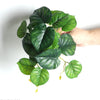 Realistic Artificial Monstera Potted Plant