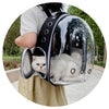 A white cat is shown inside a transparent pet backpack being held by a person.