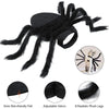 Halloween Spider Costume for Small Dogs and Cats