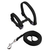 Adjustable Nylon Harness and Leash Set for Small Pets
