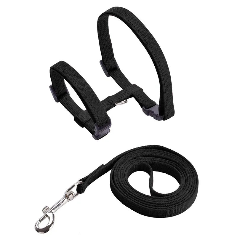 Adjustable Nylon Harness and Leash Set for Small Pets