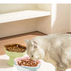 Elevated Ceramic Slow Feeder Bowl for Cats and Small Dogs