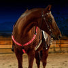Set de Correas LED para Caballos: Seguridad y Visibilidad Nocturna