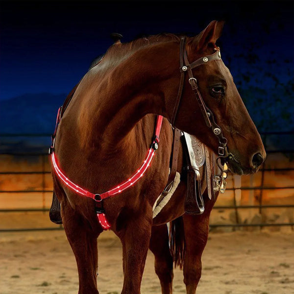 Set de Correas LED para Caballos: Seguridad y Visibilidad Nocturna