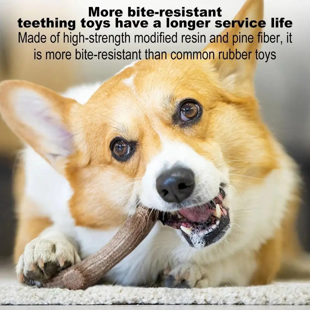 A dog is chewing a natural wood stick, demonstrating bite-resistant toys.