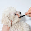 Pet Facial Grooming Kit – Tear Stain Comb & Safety Scissors