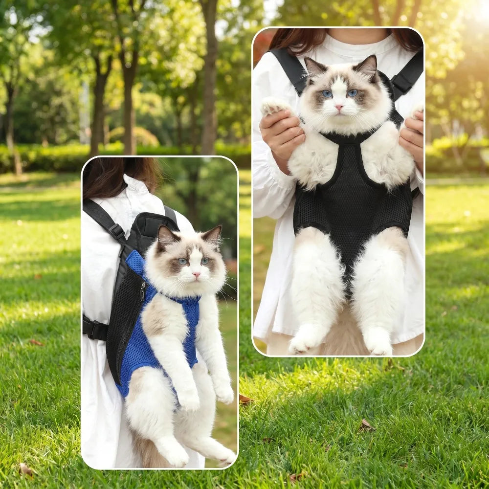 A fluffy white and gray cat is shown inside a black breathable pet carrier backpack being held by a person outdoors.
