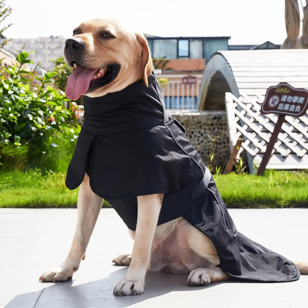 Windproof Waterproof Dog Vest with Reflective Strips and Adjustable Harness