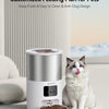 A silver and white automatic pet feeder is shown with dry food, next to a cat.