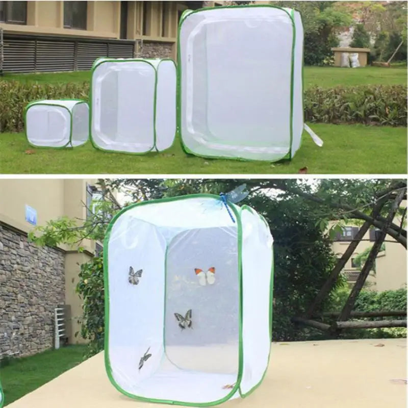 A clear mesh insect breeding cage with green trim is shown outdoors on a lawn.