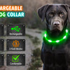 USB Rechargeable Luminous Collar for Dogs and Cats