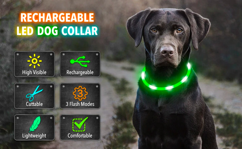USB Rechargeable Luminous Collar for Dogs and Cats
