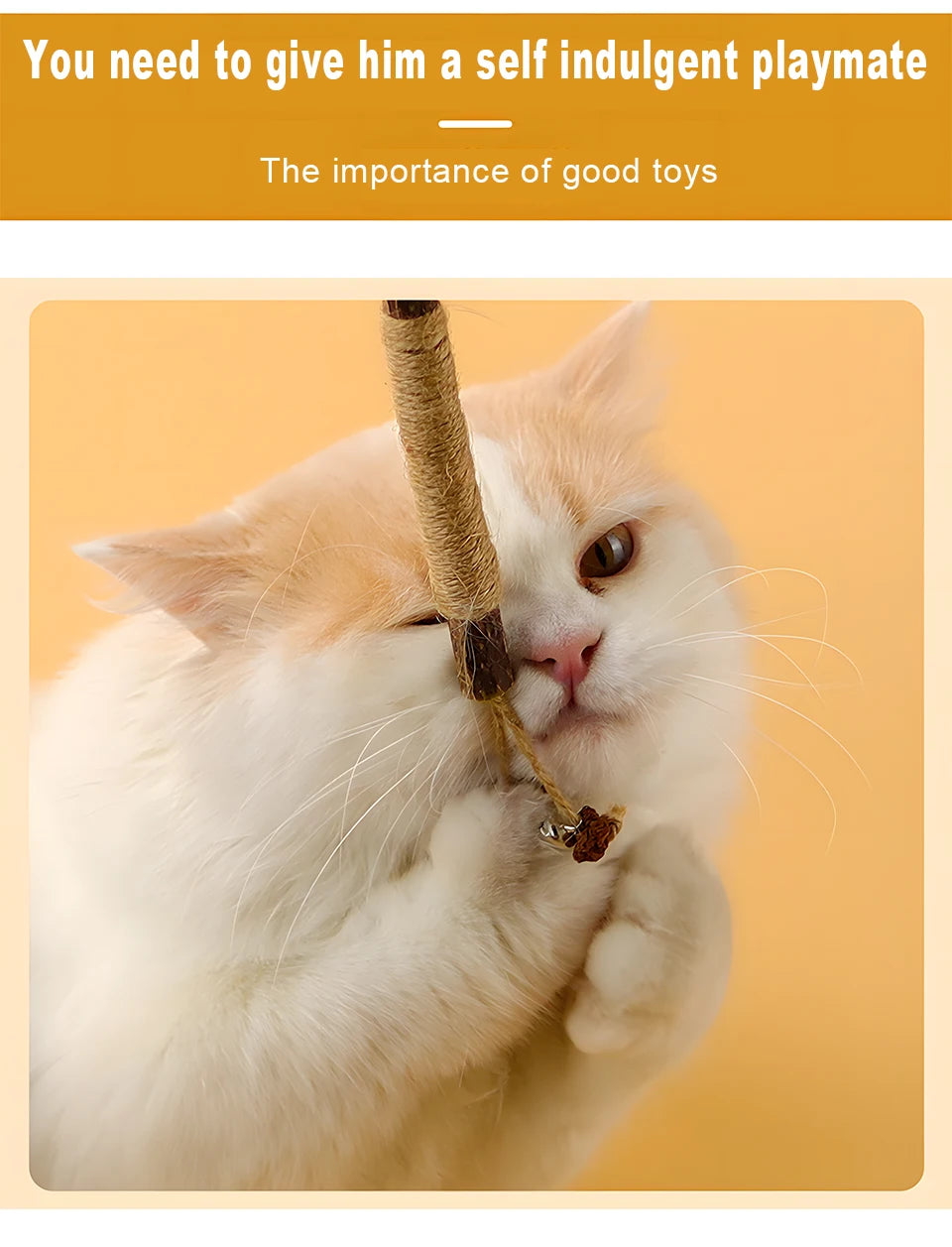Natural Silvervine Cat Chew Sticks for Dental Care & Play